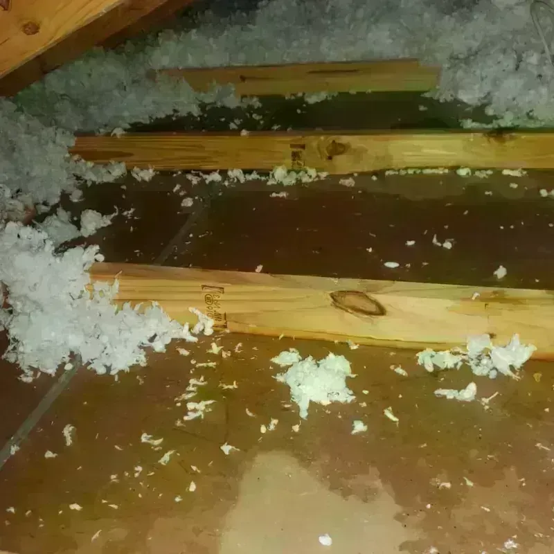 Attic Water Damage in Sky Lake, FL