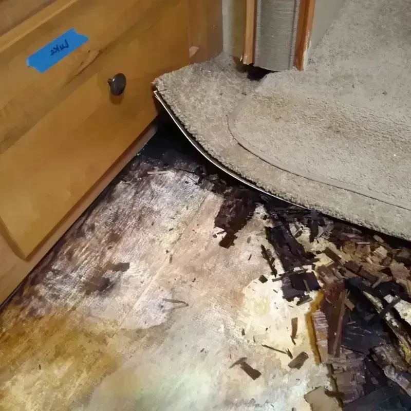 Wood Floor Water Damage in Sky Lake, FL